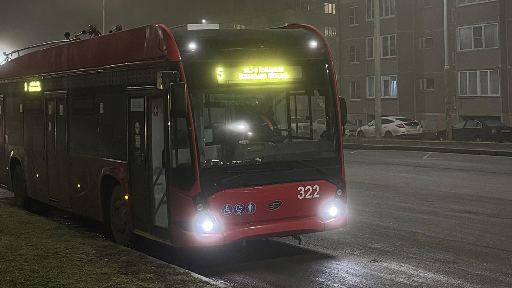 Владимирцам обещают сотни новых автобусов и троллейбусов. Но не сразу