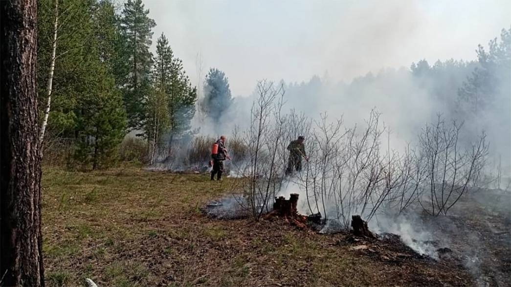 Власти Владимирской области ввели режим пожароопасного сезона