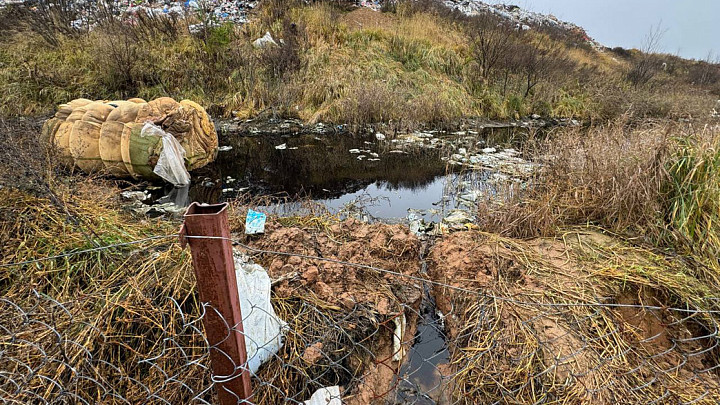 Мусорная свалка прохудилась. С Марьинского полигона в лес вытекают зловонные стоки