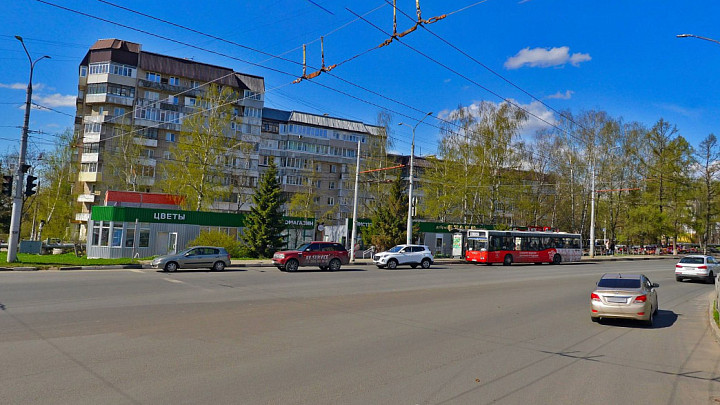 Во Владимире закрыли на карантин четвертую локацию произрастания опасного растения