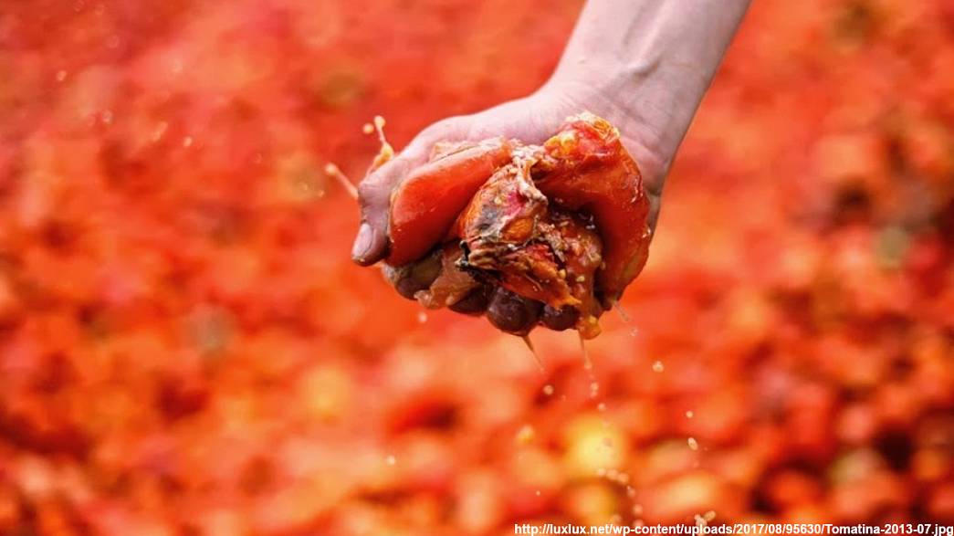 На мусорном полигоне Марьинка уничтожили санкционные помидоры