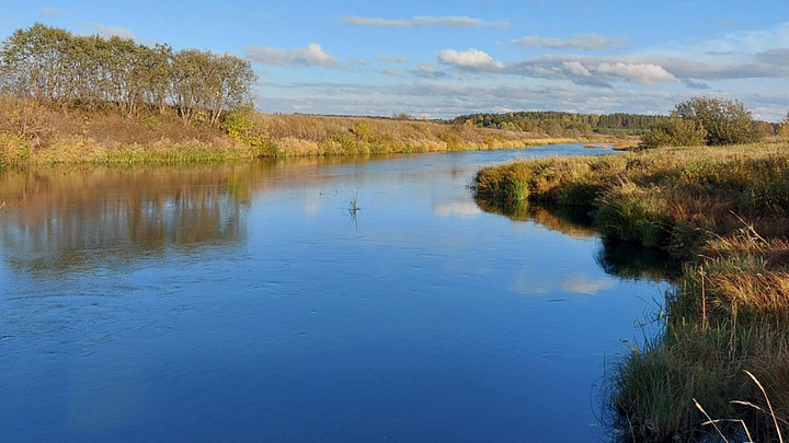 Министерство экологии России отказалось расчищать русла рек Каменки и Нерли
