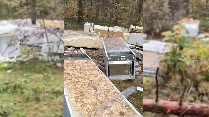 В лесу под Владимиром обнаружено кладбище морозильных камер