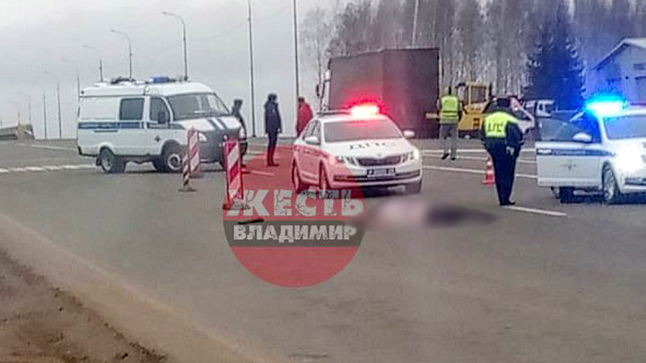 На суздальской дороге под колесами отечественной легковушки погибла женщина