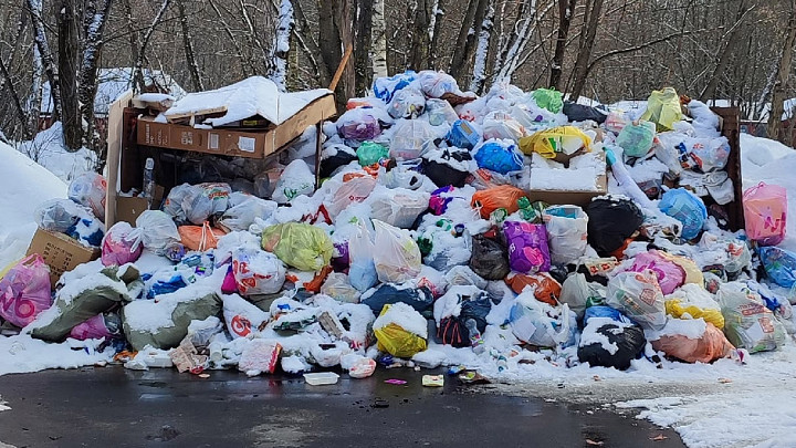 Контейнерные площадки во Владимире будет обслуживать ЦУГД