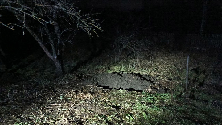 48-летняя наркоманка задушила и закопала под яблонькой мигранта из Узбекистана