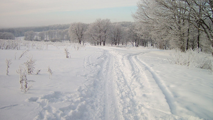 В планах мэрии Владимира спорткомплекс в парке «Дружба» усох до лыжной трассы
