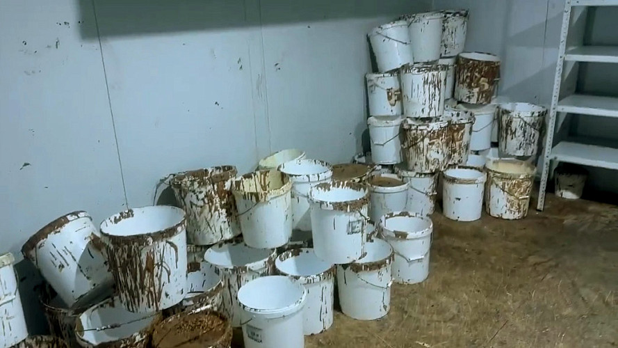 Во Владимирской области накрыли подпольную шоколадную фабрику