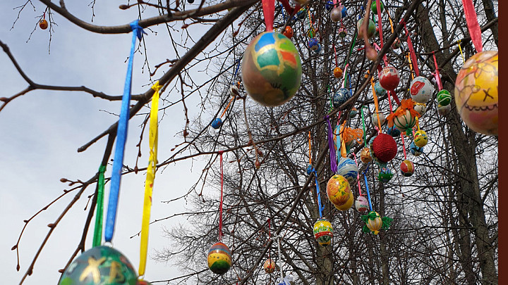 В центре Владимира седьмой раз нарядили «Пасхальное дерево»