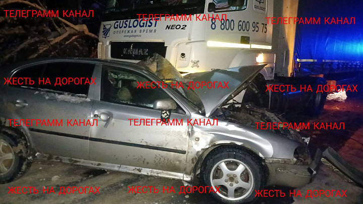 Еще один человек погиб в аварии из-за упавшего под тяжестью снега дерева