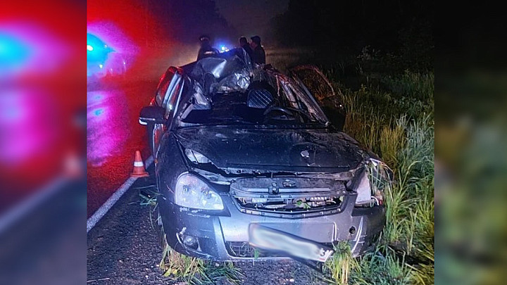 При столкновении автомобиля с лосем пострадали два человека