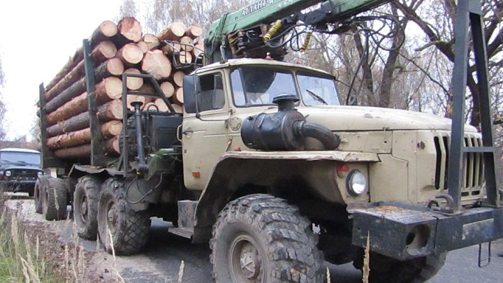 Член банды «черных лесорубов» решил отправиться на СВО