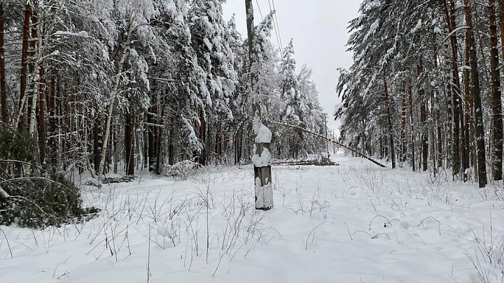 Снегопад отключил свет в пяти районах Владимирской области