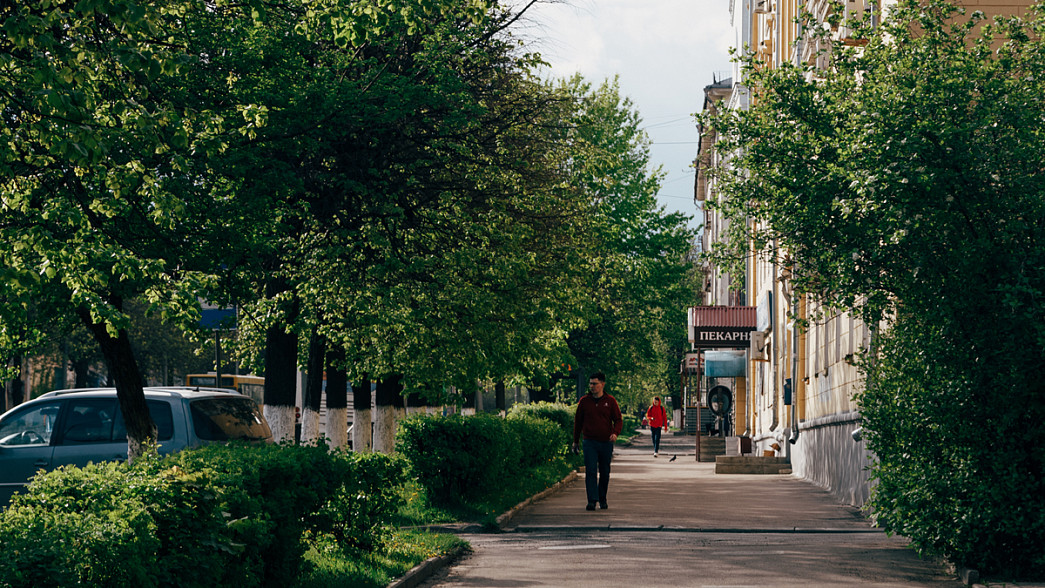 Когда начнут восстанавливать живые изгороди вдоль владимирских улиц?