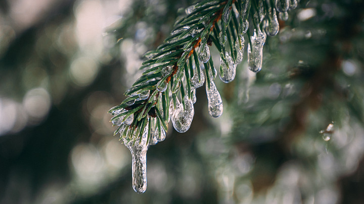 На смену снегопаду во Владимирскую область придёт ледяной дождь