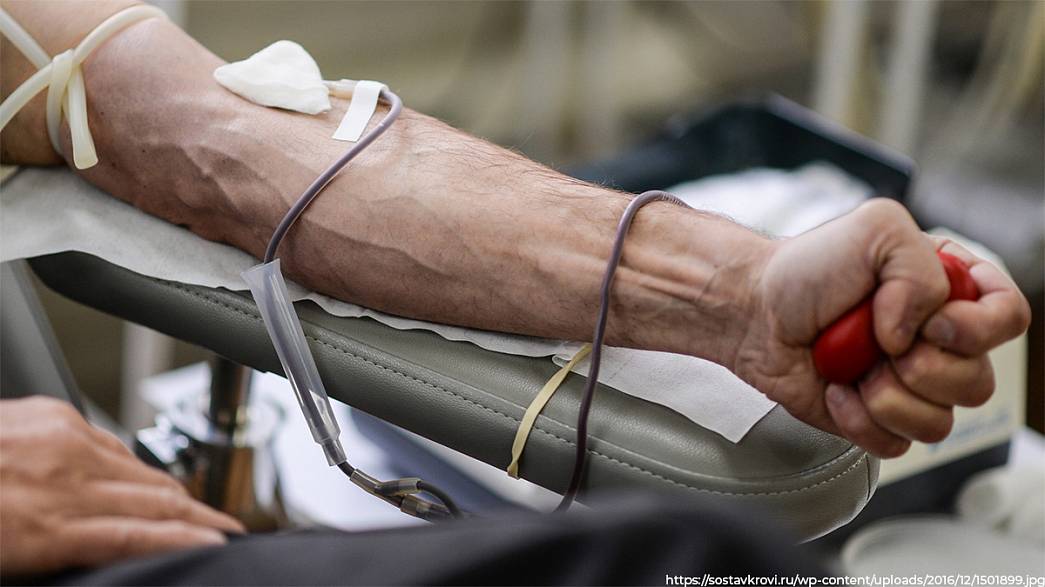 Владимирцы, переболевшие коронавирусом, активно сдают плазму крови для лечения тяжелых пациентов с ковидом