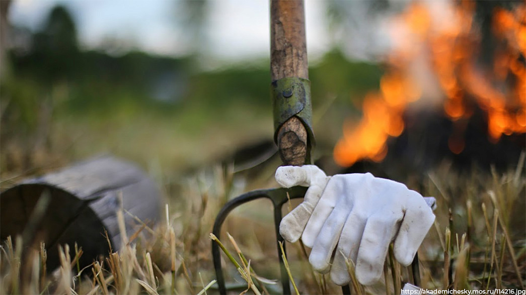 Во Владимирской области поджигателей травы ищут недостаточно активно
