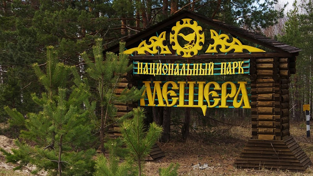 Нацпарк «Мещёра» получил судебный иск из-за леса, не защищённого от пожаров