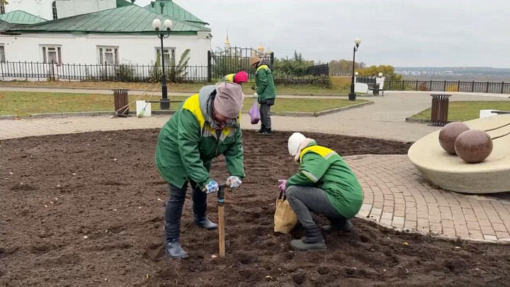 Владимирские парки и скверы отдали «Зеленому городу»