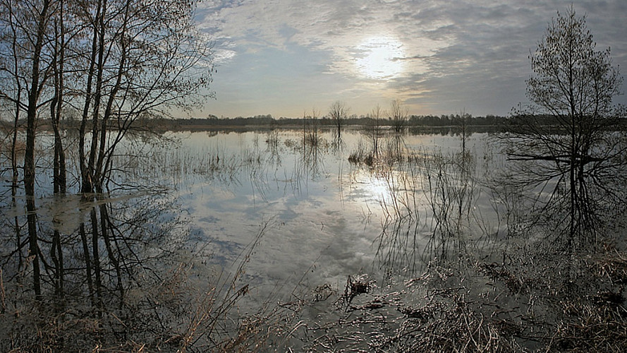 Вторая волна паводка. Малые реки бунтуют против апрельских снегопадов