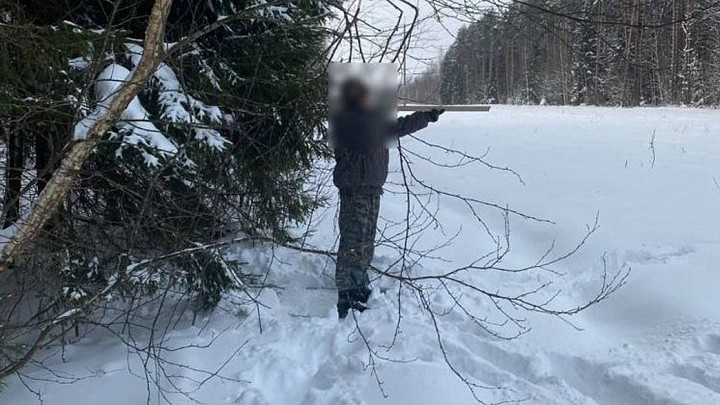 Вынесен приговор браконьеру, убившему лосиху