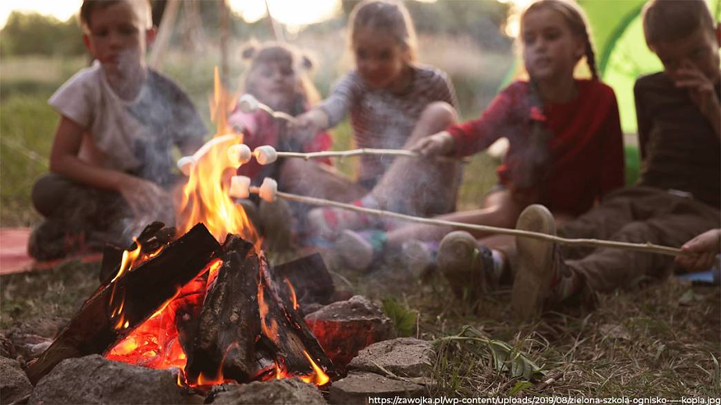 Во Владимире после пропущенного ковидного лета-2020 начали принимать заявления на отдых детей в муниципальных лагерях