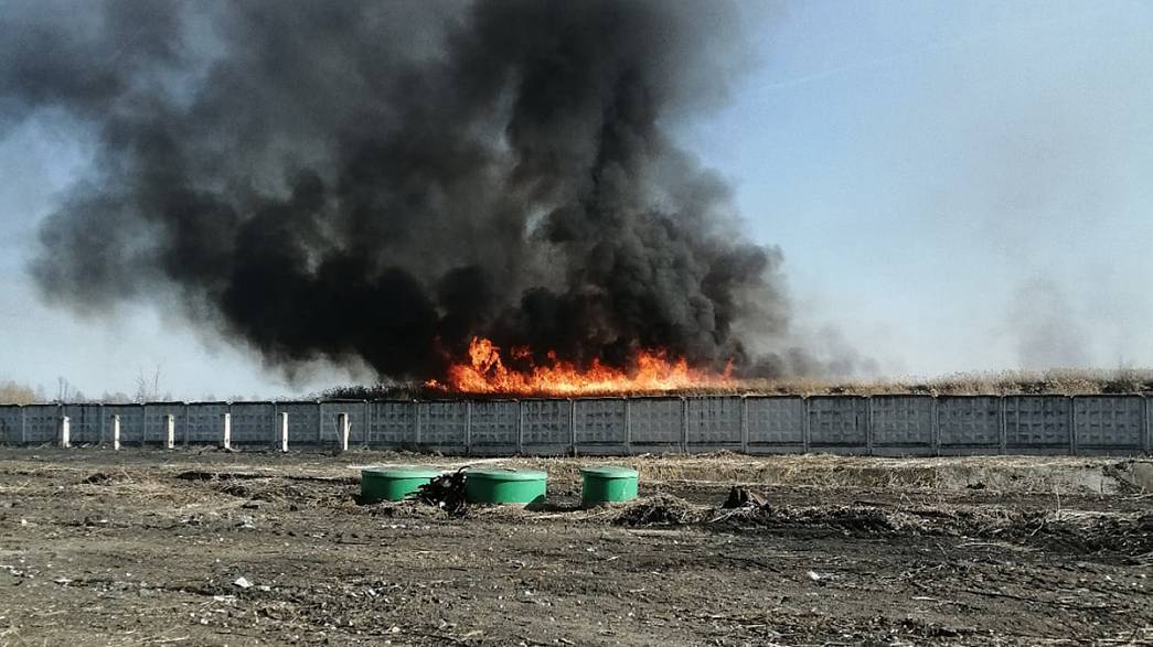 Во Владимирской области за сутки площадь пожаров от палов травы увеличилась в три раза
