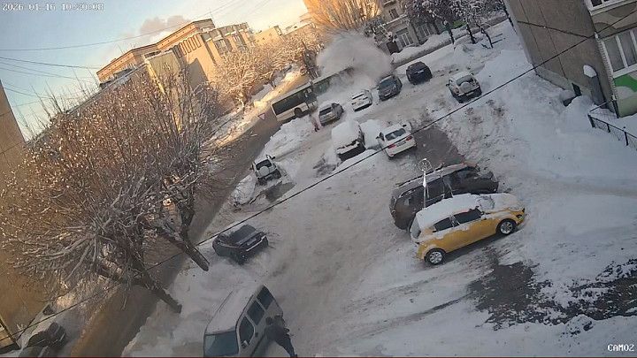 Момент столкновения автобуса с деревом в Муроме попал на видео