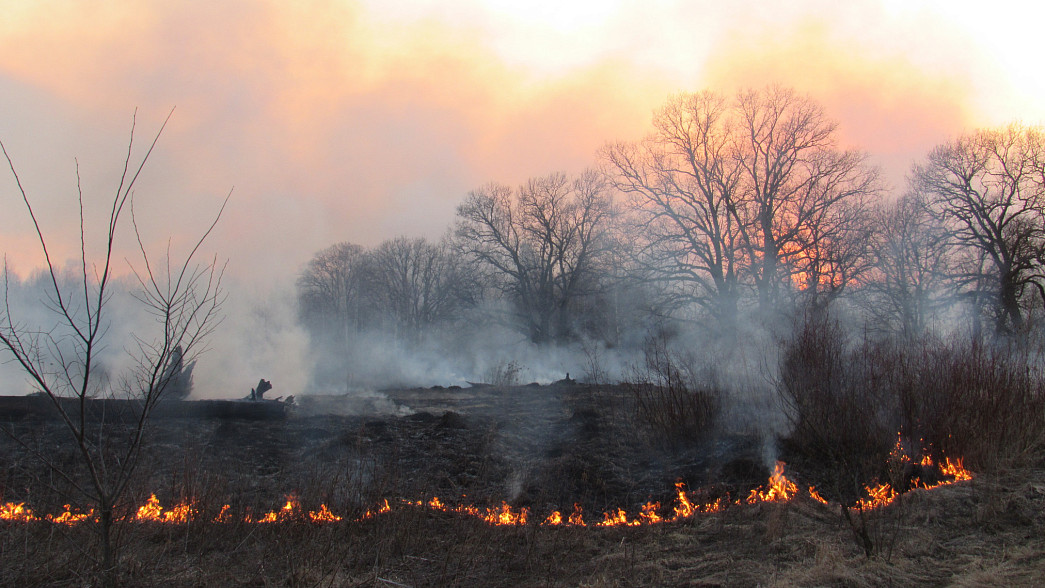 Во Владимирской области вводят запреты и ограничения из-за приближающегося сезона лесных пожаров