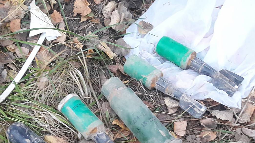 Жители Владимирской области обнаружили в своей деревне минометные снаряды