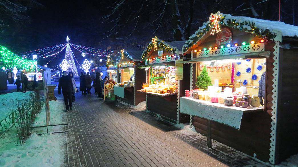 Хаски и салазки в центре Владимира на Новый год