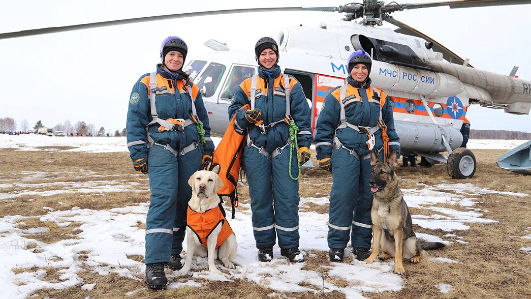 Во Владимирской области на учениях вместе со спасателями МЧС с вертолётов десантировались служебные собаки