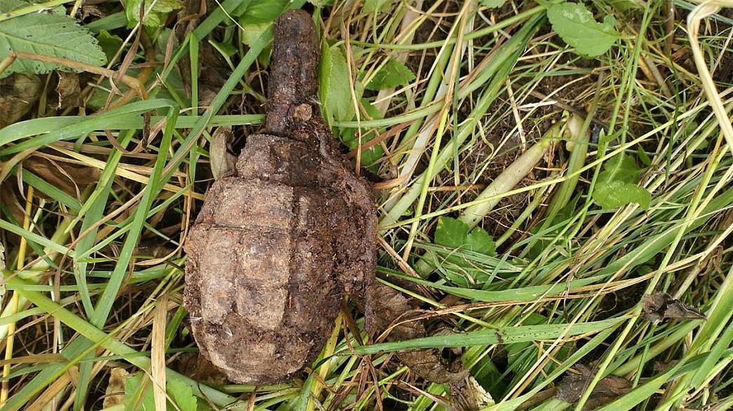 Житель Владимирской области нашел на своем деревенском участке гранату, оставшуюся со времен Великой Отечественной войны