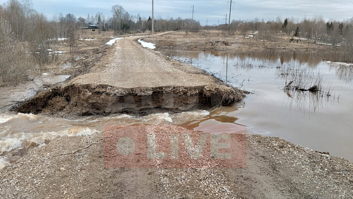 Во Владимирской области «поплыли» дороги и дачи