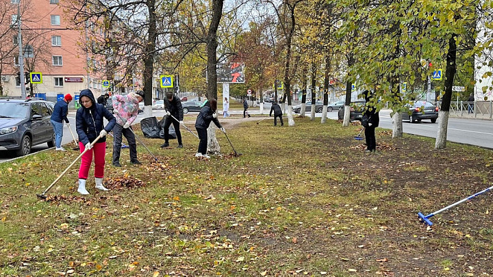 Во Владимире определились с датой городского субботника