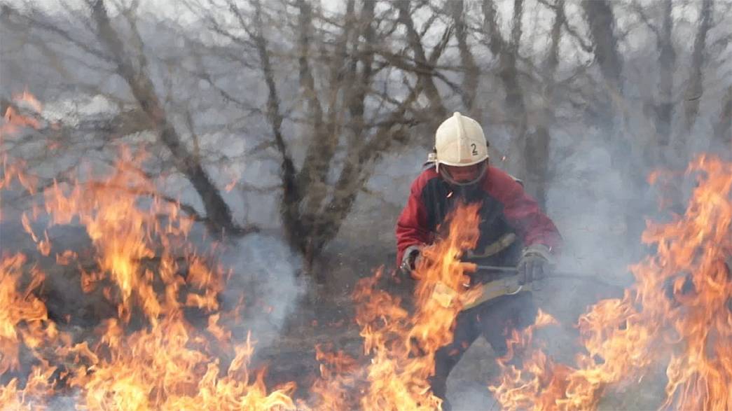 При ликвидации пожара в деревне Орловка Владимирской области погиб сотрудник МЧС