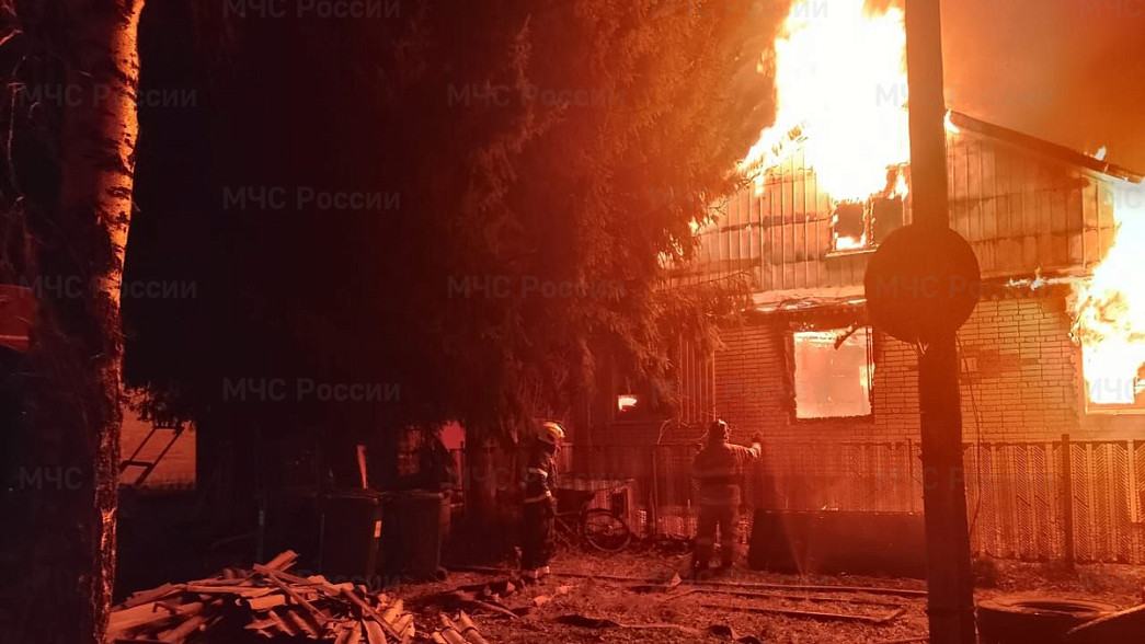 В частном доме сгорели кошки с котятами и собаки, которых приютили хозяева