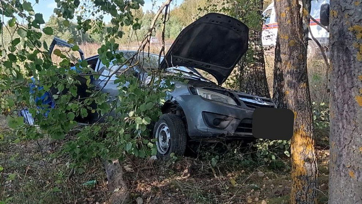 Пенсионер разбился насмерть на «Ладе», врезавшись в дерево