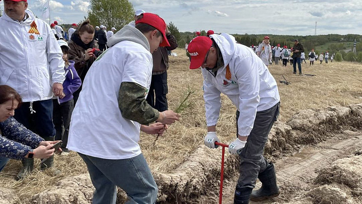 Память на десятилетия: при поддержке ЗАО «Муром» во Владимирской области появился уникальный геоглиф «80 ПОБЕДА»