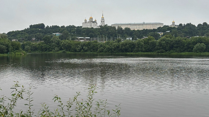 Причиной массовой гибели рыбы в Клязьме стали сточные воды «Владимирводоканала»