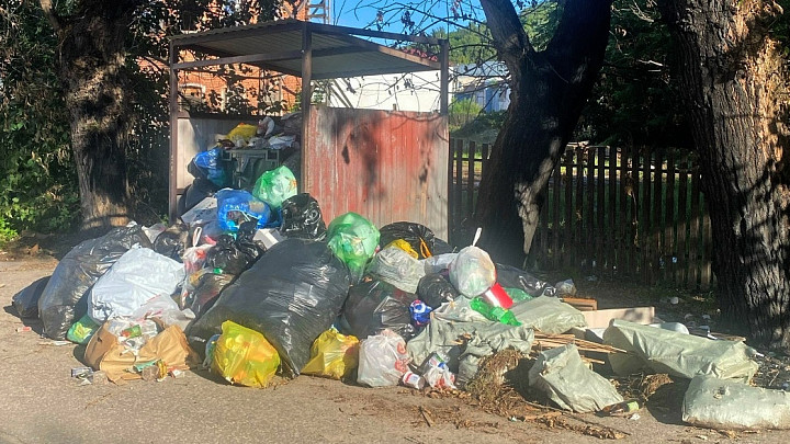 Во Владимирской области продолжается мусорный коллапс в отдельно взятом городе