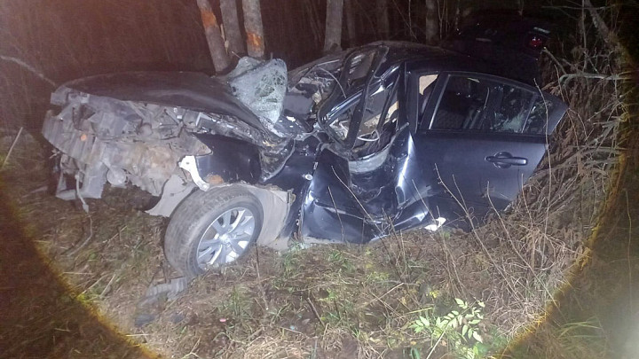 В машине, вылетевшей с трассы и врезавшейся в дерево, пострадали двое человек
