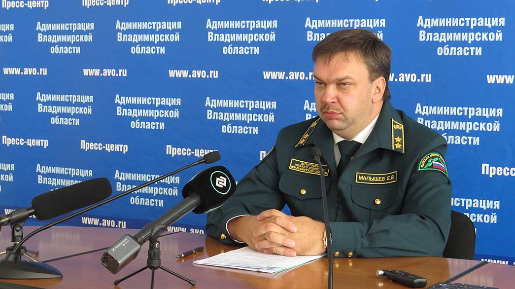 Новый главный лесник Владимирской области Евгений Малышев обещает пресечь деятельность «черных лесорубов»