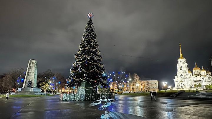 Главная городская елка Владимира переедет в Юрьевец