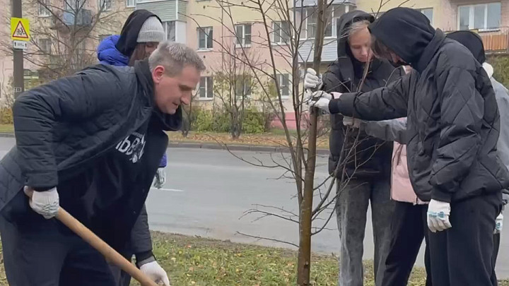 Сезон озеленения владимирских улиц в самом разгаре