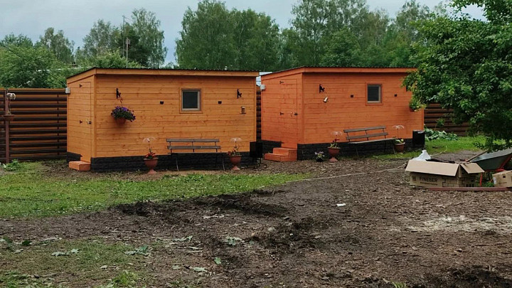 Детский лагерь с конями прикрыли на 45 суток из-за несоблюдения санитарных норм
