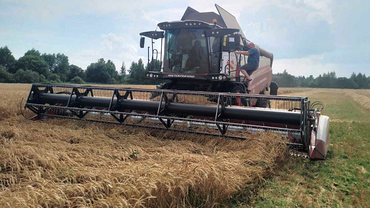 Белый дом рапортует о достижениях владимирского агропрома