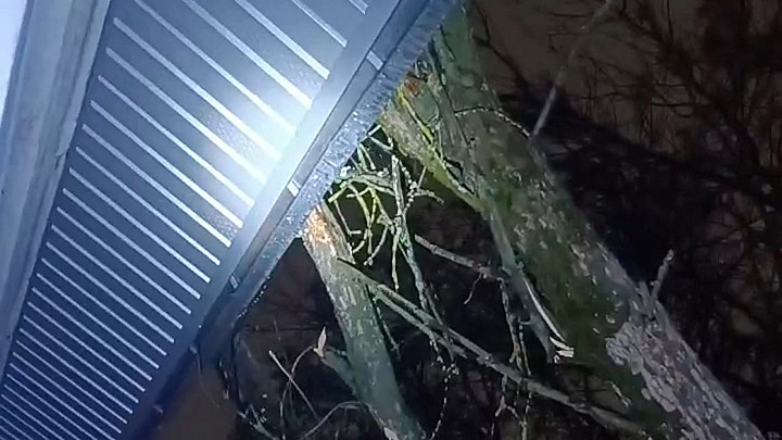 Во Владимире на дом упало дерево. Оно росло на территории школы