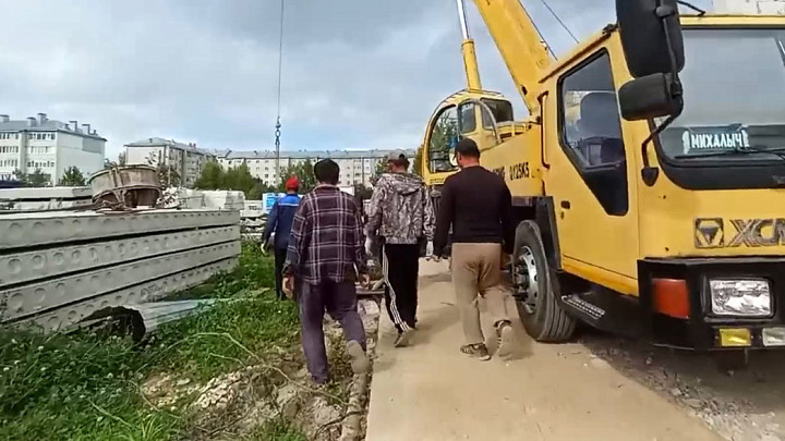 Облава на мигрантов в западной части Владимирской области
