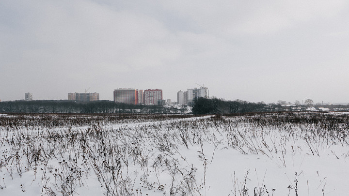 Слушания по застройке окрестностей парка «Дружбы» перенесли на неопределенный срок